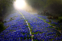 Texas